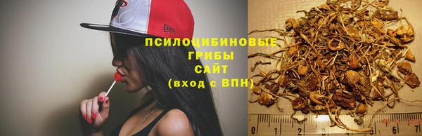 кристаллы Осинники