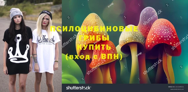 бутират Нязепетровск