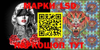 стаф Аргун