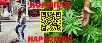 стаф Аргун