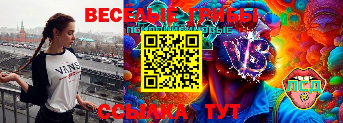 Галлюциногенные грибы GOLDEN TEACHER  Вход с VPN  закладки  Скопин 
