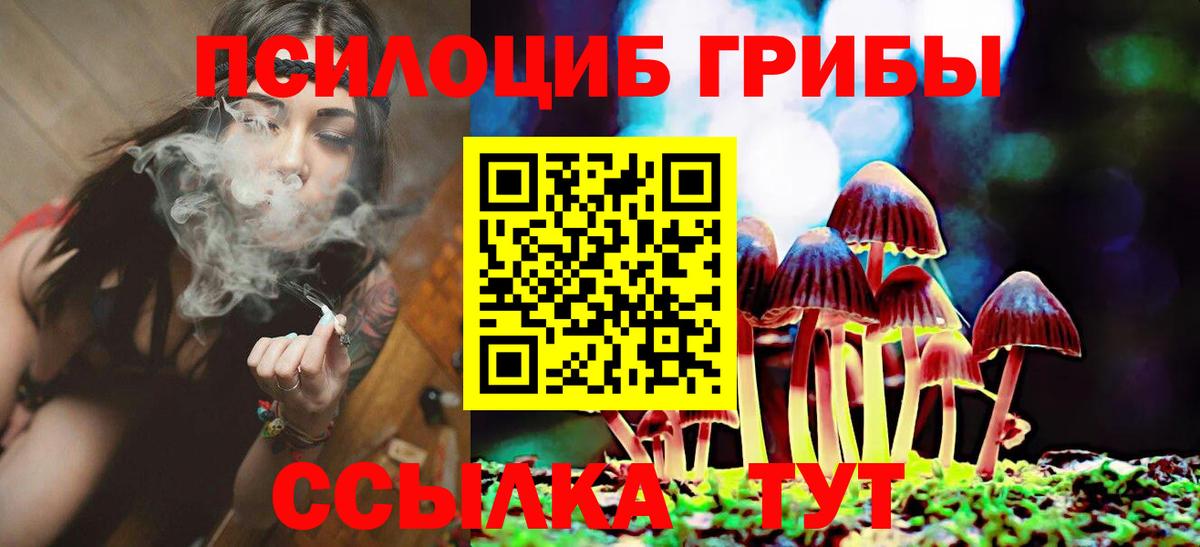 Галлюциногенные грибы Psilocybine cubensis Скопин
